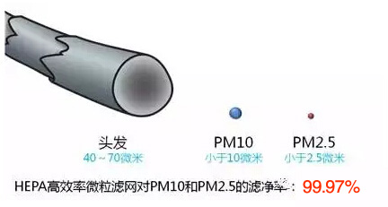 ��Ⱦ��ֱ��